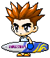 Hide